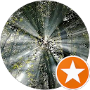 Mostafa Elshazly profile picture